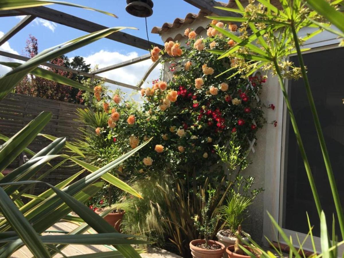 La Villa Vaihere En Camargue, L'Hibiscus Et Le Magnolia Saintes-Maries-de-la-Mer Exteriör bild